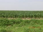 29357CIMG0586.JPG