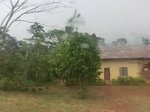 49915CIMG6252.JPG