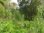 46630DSC01963.JPG