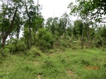 53665CIMG7043.JPG