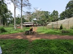 46463CIMG0752.JPG