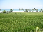 15440IMG_4316.JPG