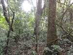46821DSC02159.JPG