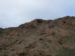 37124CIMG0921.JPG
