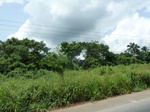 18229P1000065.JPG