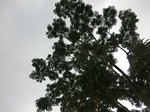 45578CIMG2663.JPG
