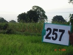 129180257c-irrigated-rainfed-(supplemental)-agriculture-rice-dominant-millet.gif