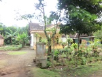 31055CIMG0917.JPG