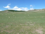 24247P1050687.JPG