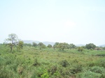 522126042008(19).JPG
