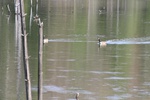 401IMG_3510.JPG