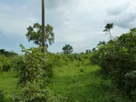 18642P1000480.JPG