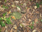 46863DSC02210.JPG