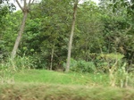 50520CIMG1149.JPG