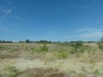 34917DSC01819.JPG