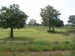 33461RIMG0201.JPG