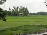 21697DSC00237.JPG