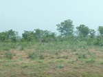 51526P1000689.JPG