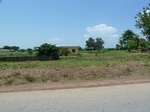 19581P1010428.JPG
