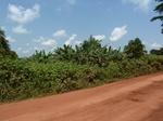 19807P1010656.JPG
