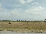 35926DSC02694.JPG