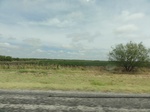 35912DSC02680.JPG