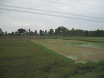 34453IMG_5436.JPG