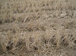 8533IMG_0359.JPG