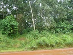 20540P1020397.JPG