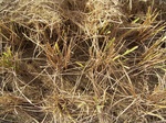 3243R0017277.JPG