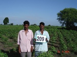 127490209a-rainfed-agriculture-cotton-dominant-soyabean.gif