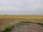 29790CIMG1151.JPG