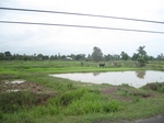 33326IMG_5662.JPG