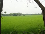 26027DSC00938.JPG