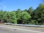 56736CIMG1742.JPG