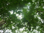 20028P1010878.JPG