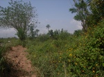 8934RIMG0008.JPG
