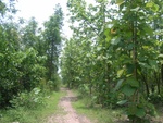 28238RIMG0238.JPG
