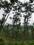 53681CIMG7069.JPG