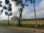 31301CIMG1163.JPG