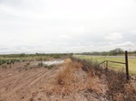 35906DSC02674.JPG