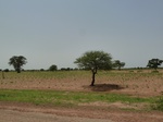 19003P1000847.JPG