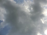 46629CIMG0918.JPG