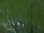 58392CIMG2841.JPG