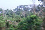 50136CIMG6507.JPG