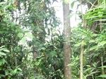 47144CIMG3481.JPG