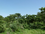 19481P1010328.JPG