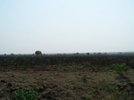 1772723042008(17).JPG