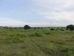 24881DSC01097.JPG