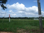 32277p36_s.jpg